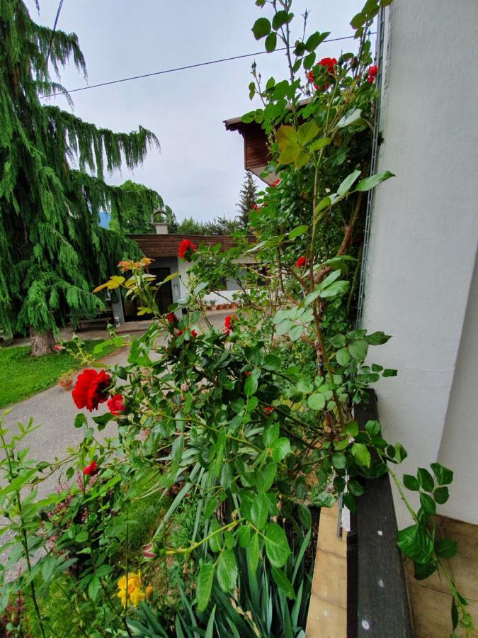 Appartements Amrusch Sankt Jakob im Rosental Esterno foto